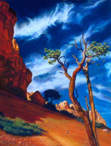 Navajo Sky By Mary Ann Pals