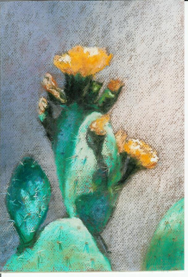Cactus Bloom